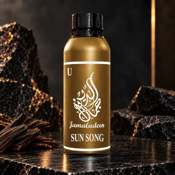Sun Song